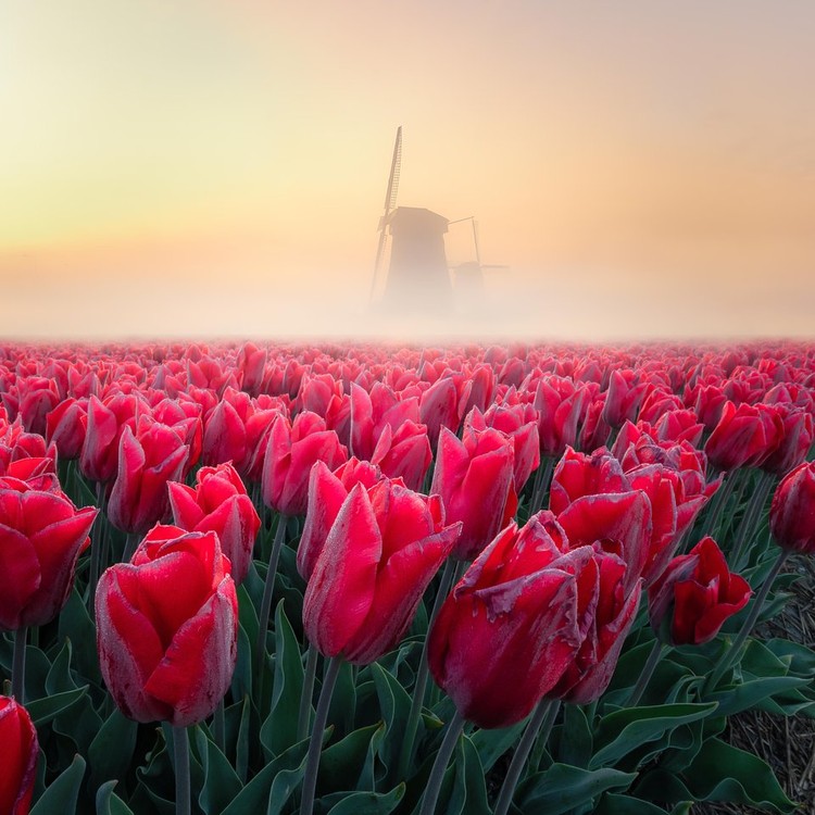 #Landscape2020 by Agora