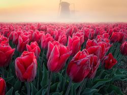 Karya Memukau Finalis Kontes Foto Landscape Agora, Bikin Kangen Liburan