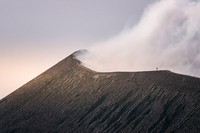 #Landscape2020 by Agora