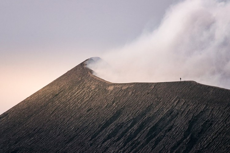 #Landscape2020 by Agora