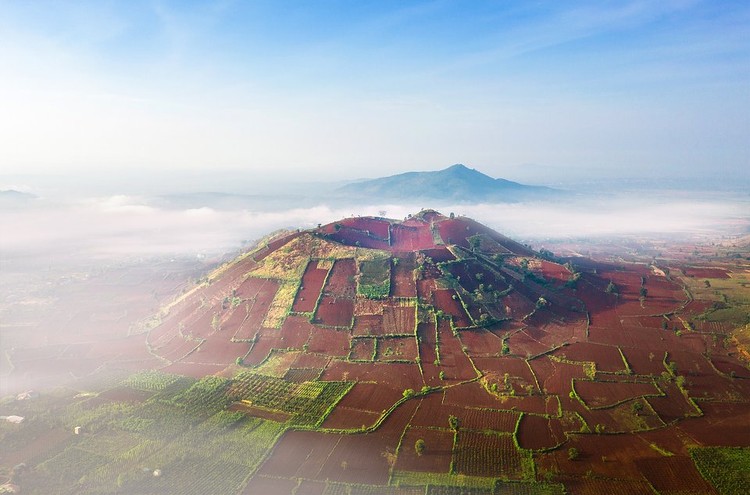 #Landscape2020 by Agora