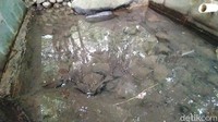 Warga setempat, Samin Setiawan bercerita asal muasal mata air Cibarani. Berdasarkan cerita orang tua dulu, munculnya mata air tersebut dari sesepuh bernama Eyang Kura Haji Jayanana yang datang dari Mekkah. Ia membawa oleh-oleh air zam-zam, lalu ditumpahkan di lokasi tersebut. (Dadang Hermansyah/detikcom)