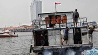 Kapal yang mengangkut hewan-hewan kurban mulai berlayar untuk mengirimkan hewan kurban tersebut ke sejumlah pulau di Pulau Seribu jelang Idul Adha.