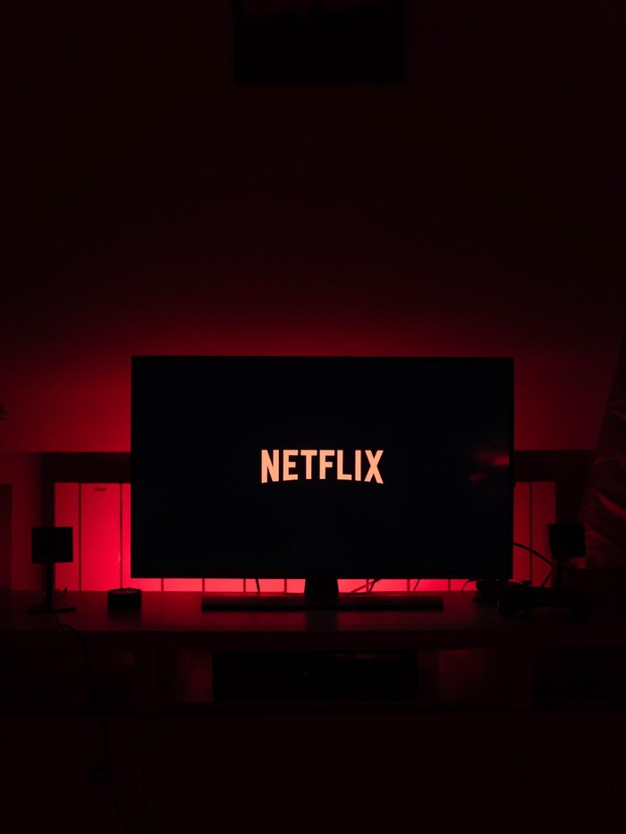 netlifx Thibault Penin