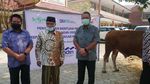 PBNU Terima 20 Sapi Kurban