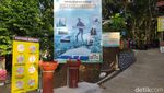 Wisatawan Mulai Asyik Berfoto Lagi di Punthuk Setumbu