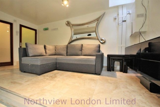 Lantai dasar apartemen ini terlihat normal seperti apartemen pada umumnya. Ada ruangan untuk bersantai berkumpul, dua ruangan kamar yang berukuran kecil, dua kamar mandi, serta teras kecil. Foto: dok. Zoopla/ Northview London Limited