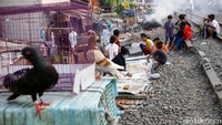 Sebelumnya, pemerintah telah menyiapkan dana dalam program pemulihan ekonomi nasional (PEN) untuk membantu sektor korporasi senilai Rp 53,57 triliun. Namun untuk penyaluran pinjaman bagi sektor korporasi ini, Luhut menyebut target yang ingin dicapai pemerintah senilai Rp 100 triliun hingga akhir 2020.