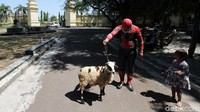 Kostum yang unik membuat sang relawan menarik perhatian anak-anak di sekitar panti asuhan tersebut. Tak sedikit anak-anak yang mendatanginya karena penasaran dengan sosok sang relawan yang mengenakan kostum superhero serta membawa hewan kurban.