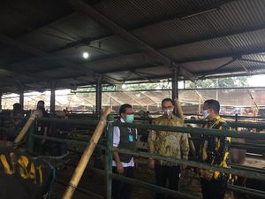 Pemprov DKI Serahkan 32 Hewan Kurban ke Rumah Potong Hewan Dharma Jaya