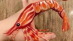 10 Body Painting Bertemakan Makanan Lezat Ini Bikin Lapar