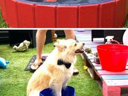 Kocak! Foto Ekspektasi vs Realita Beli Barang di Toko Online