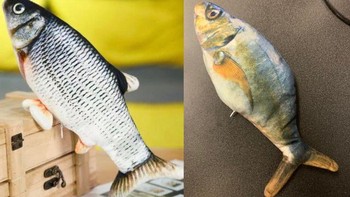 Nah detikers apakah kamu pernah mengalami hal yang sama, ekspektasi yang dilihat berbeda dengan realita barang yang diterima? Foto: Reddit/ExpectationVsReality