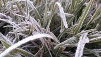 Suhu udara tersebut lebih dingin saat muncul embun es akhir pekan lalu. Di dekat Candi Arjuna suhunya bahkan sampai minus 3 derajat celcius. (dok. Istimewa)