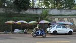 Yang Segar-segar dan Manis di Perbatasan Cianjur