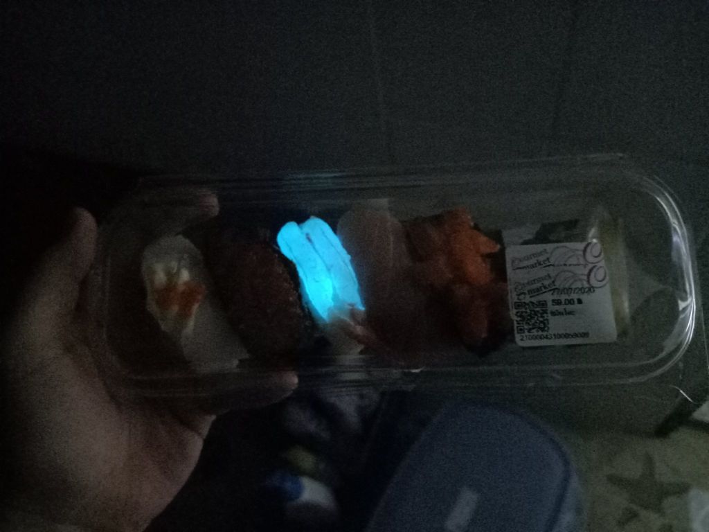 Heboh Sushi Glow In The Dark