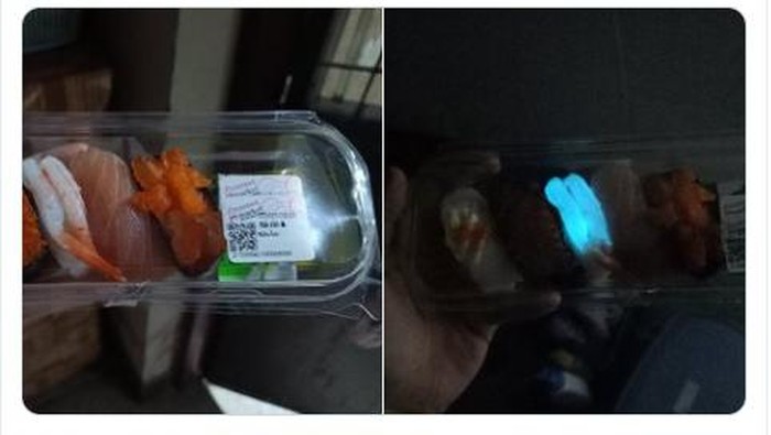 Heboh Sushi Glow In The Dark