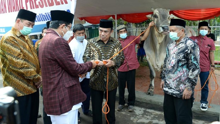 Menag Fachrul Razi menyerahkan sapi kurban dari Presiden Jokowi ke Masjid Istiqlal (Foto: Kris/Biro Pers Sekretariat Presiden)