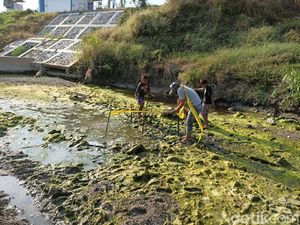 Asyik Cari Ikan, Anak-Anak di Lamongan Temukan Tengkorak Manusia