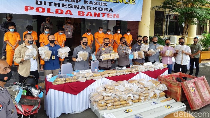 Polda Banten ungkap penyelundupan ganja 159 kg