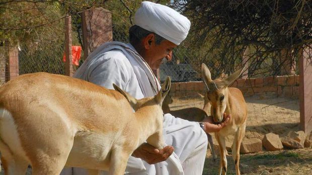 Suku Bishnoi