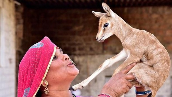 Suku Bishnoi Suku Bishnoi