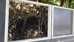 Karya Van Gogh Dipamerkan Lagi di Tempat Terakhir Ia Melukis
