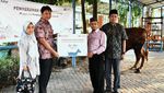 Askrindo Syariah Salurkan Bantuan Hewan Kurban