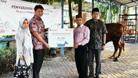 Tiga masjid yang menerima hewan kurban adalah Masjid Raya Al Azhar Sentra Primer Pulogebang, Masjid Nurul Jihad Muara Angke, dan Masjid Jami Babussalam Penjaringan.