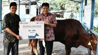 Penyerahan hewan kurban melalui LAZ Al Azhar diwakili oleh Subagio Istiarno selaku Direktur Keuangan Askrindo Syariah dan diterima oleh Agus Nafi selaku Direktur Eksekutif LAZ Al Azhar.