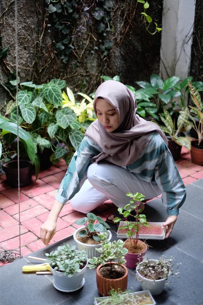 Ini Manfaat Berkebun di Rumah yang Kini Jadi Tren di Tengah Pandemi