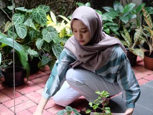 Kisah Jatuh Bangun Berkebun di Rumah: Tanaman Mati Hingga Diserang Hama