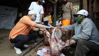 Pemotongan sapi kurban dilakukan di sekitar permukiman di Kampung Pemulung Pelangi.
