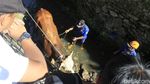 Sapi Kurban yang Nyemplung Parit di Bandung Berhasil Dievakuasi
