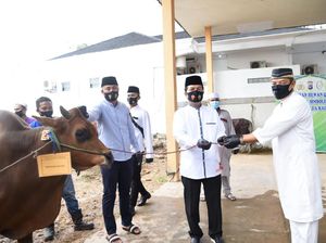 Kapolda Kalsel Bagikan 70 Ekor Hewan Kurban ke Warga Terdampak COVID-19