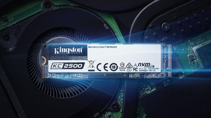 Kingston KC2500