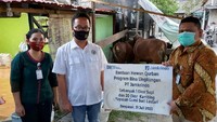 Adapun jumlah hewan kurban yang disalurkan sebanyak 19 ekor sapi dan 20 ekor kambing senilai Rp 541.691.000 yang berasal dari Bina Lingkungan PT Jamkrindo, Koperasi Warga Jamkrindo Sejahtera, Jumat Berbagi Jamkrindo, UPZ Jamkrindo, DKM Jamkrindo, dan insan Jamkrindo Foto: dok. Jamkrindo