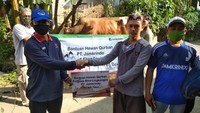 Tidak seperti biasanya yang selalu melaksanakan penyembelihan hewan kurban di Kantor Pusat, kali ini Jamkrindo menyalurkan hewan kurban di beberapa masjid, yayasan, lembaga masyarakat, pondok pesantren, kelurahan yang tersebar di Jabodetabek, serta beberapa kota di Jawa dan luar Jawa serta masyarakat sekitar kantor untuk mengikuti protokol kesehatan. Foto: dok. Jamkrindo