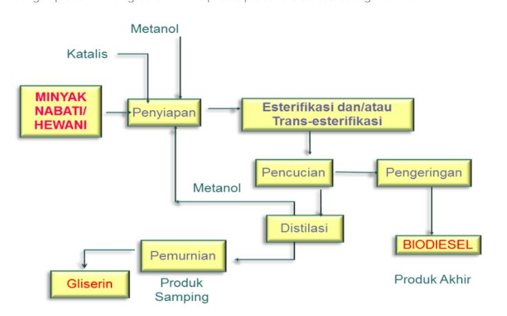 Pembuatan Biodiesel