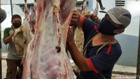 Panitia memisahkan kulit dan daging hewan kurban.