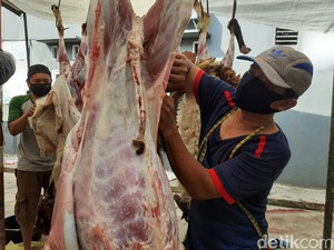 DKPP Jabar: Penyembelihan Hewan Kurban Harus Ikuti Prokes!