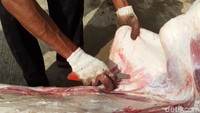 Warga memisahkan daging dan tulang hewan kurban.