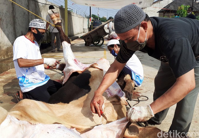 Umat Muslim melakukan pemotongan hewan kurban di Perumahan Bintara Jaya Village 2, Kota Bekasi, Jawa Barat, Jumat (31/7/2020). Hari ini umat muslim merayakan Hari Raya Idul Adha 1441 H dengan melakukan ibadah pemotongan hewan kurban. Sebanyak 4 ekor sapi dan 16 ekor kambing di potong dengan mengikuti protokol kesehatan diwilayah ini.