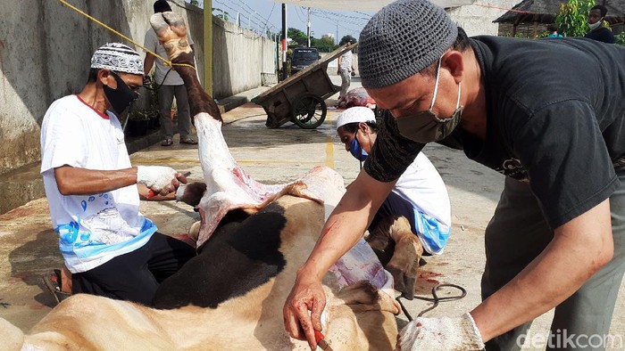 Umat Muslim melakukan pemotongan hewan kurban di Perumahan Bintara Jaya Village 2, Kota Bekasi, Jawa Barat, Jumat (31/7/2020). Hari ini umat muslim merayakan Hari Raya Idul Adha 1441 H dengan melakukan ibadah pemotongan hewan kurban. Sebanyak 4 ekor sapi dan 16 ekor kambing di potong dengan mengikuti protokol kesehatan diwilayah ini.