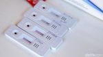Rapid Test untuk Jagal Hewan Kurban