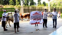 Hal ini ditandai dengan penyerahan hewan kurban tiga ekor sapi dengan berat masing-masing lebih dari 1 ton oleh Direktur Utama Telkom, Ririek Adriansyah kepada Ketua Lembaga Amal Zakat Infak Sedekah Nahdlatul Ulama Achmad Sudrajat, Wakil Ketua Lembaga Amal Zakat Infak Sedekah Muhammadiyah Rizaludin Kurniawan, dan Ketua Umum MTTG Pusat Hari Sandi Atmaja. Hewan kurban ini diserahkan secara langsung di Vertical Garden The Telkom Hub, Jakarta. Foto: dok. Telkom