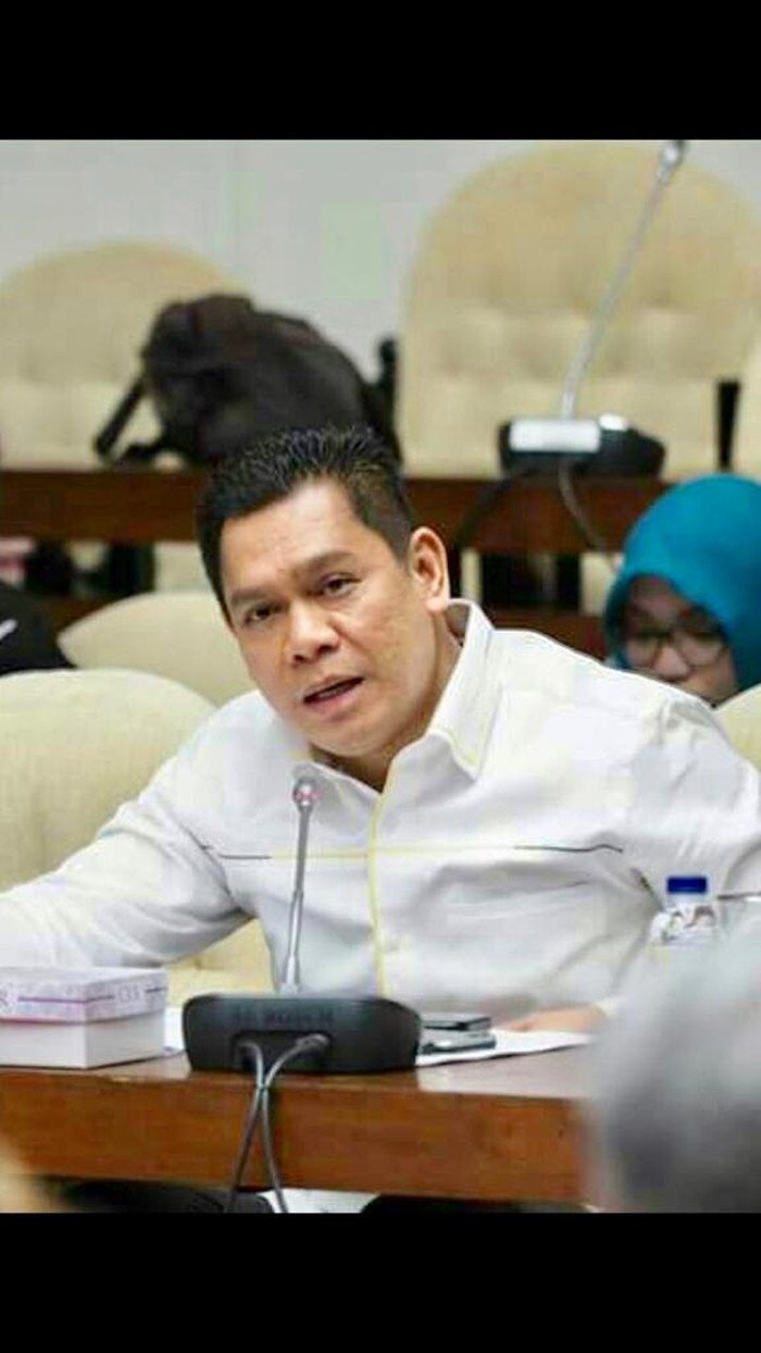 Wakil Ketua Komisi III Adies Kadir