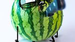 Seniman Ini Bikin 10 Buah Bergambar Doodle Artistik