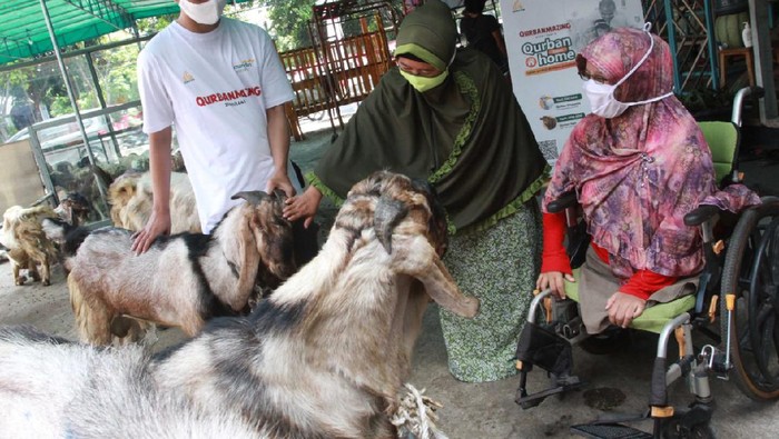 Daging Kurban untuk Penyandang Disabilitas Daging Kurban untuk Penyandang Disabilitas