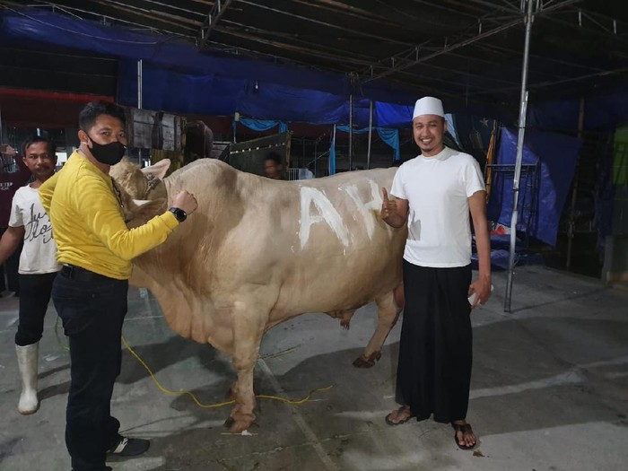 Habib Usman dan Kartika Putri Kurban 22 Sapi
